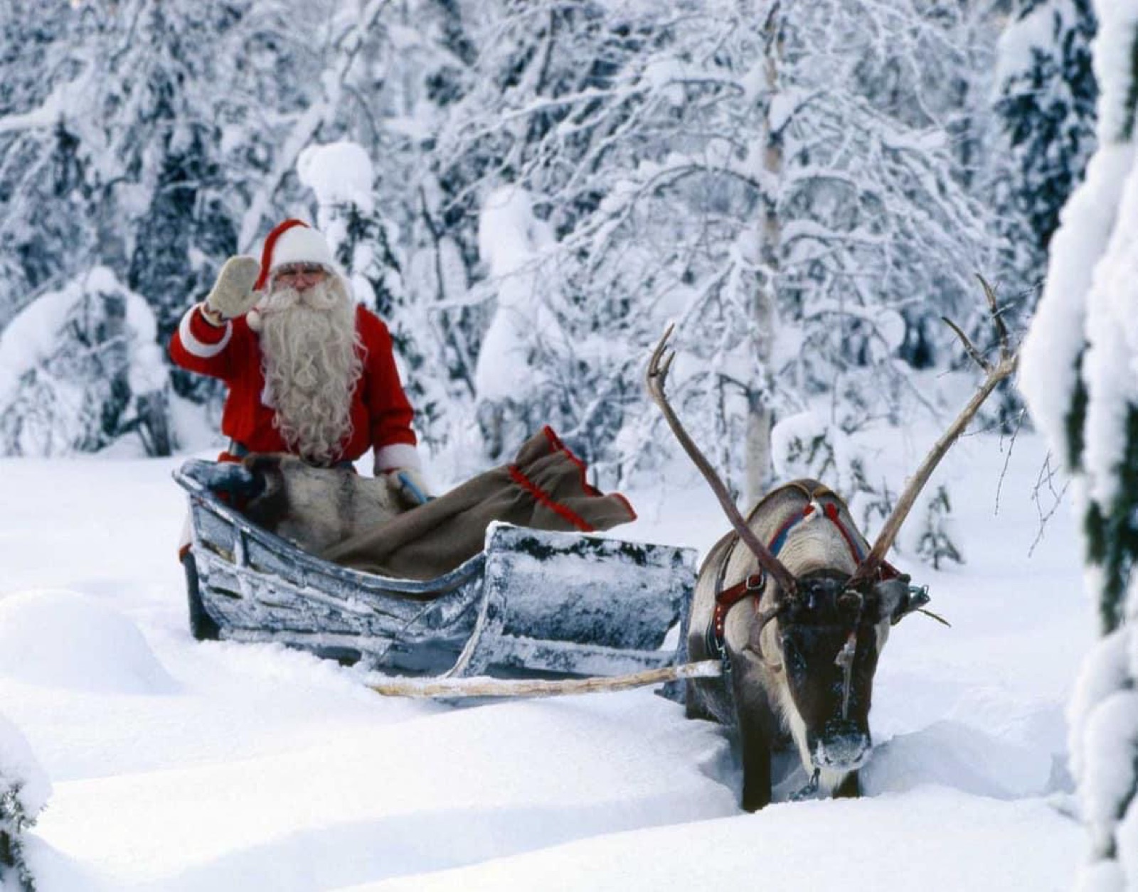 Luxury aurora tour Rovaniemi